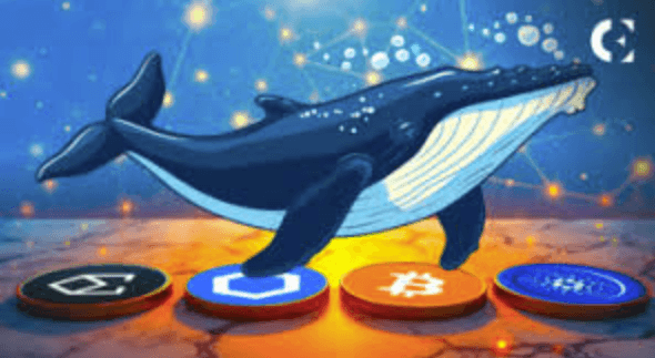 The Role of Whales in Crypto Markets